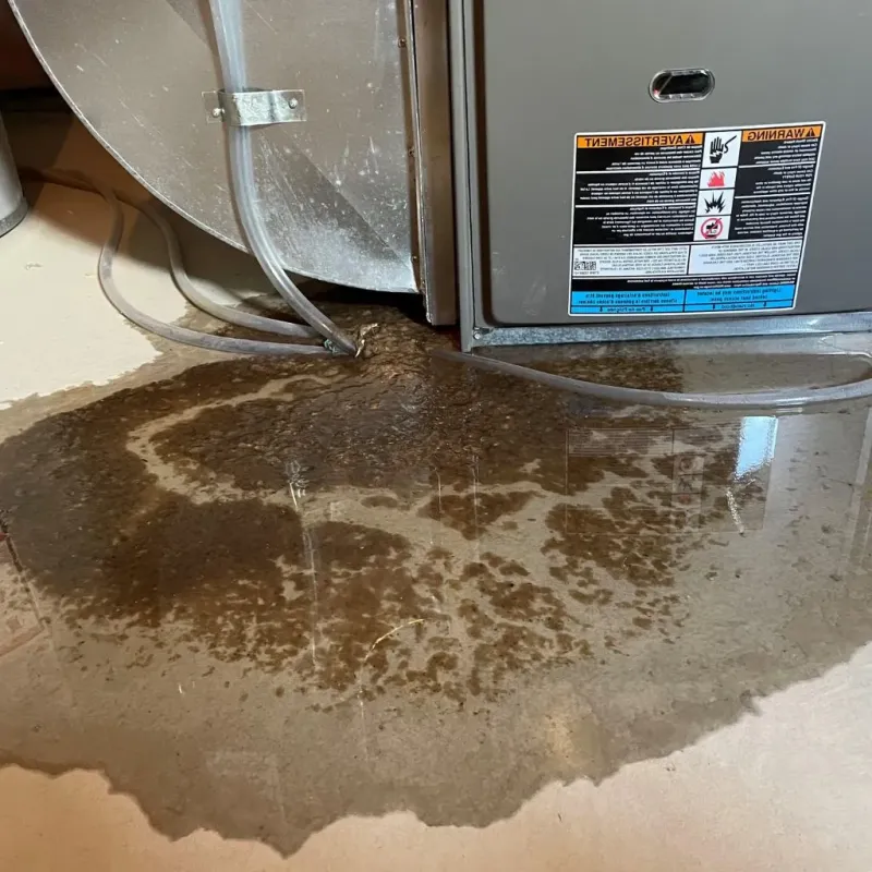 Pipe Burst and Leak Restoration in Crownpoint, NM