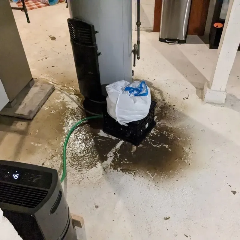 Sewage Backup Cleanup Service in Crownpoint, NM
